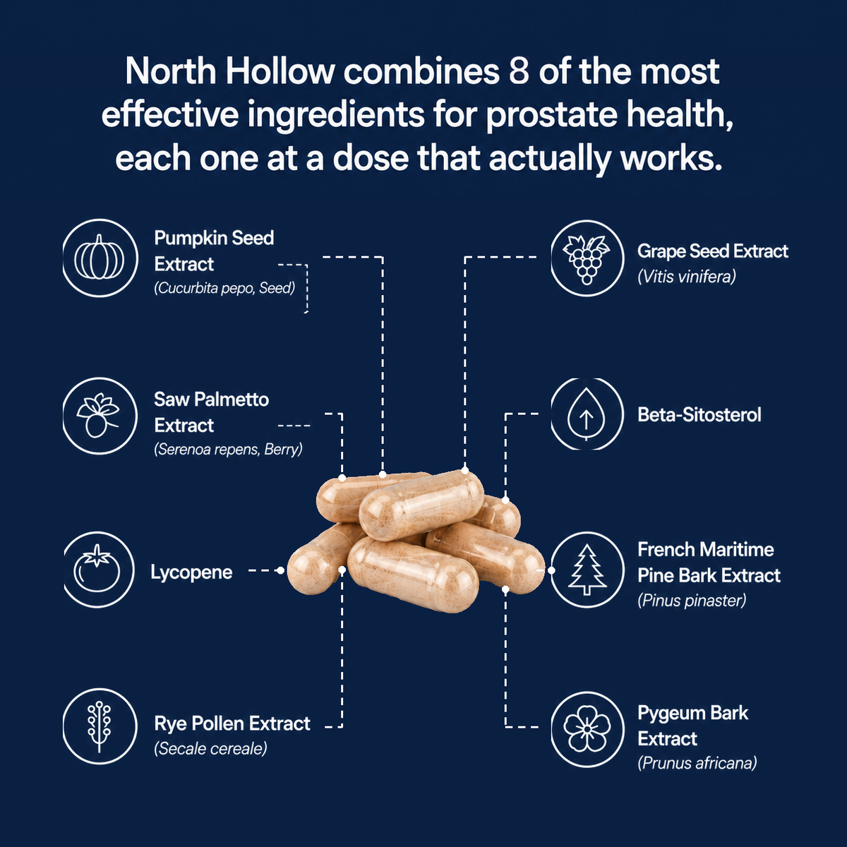 North Hollow formula details